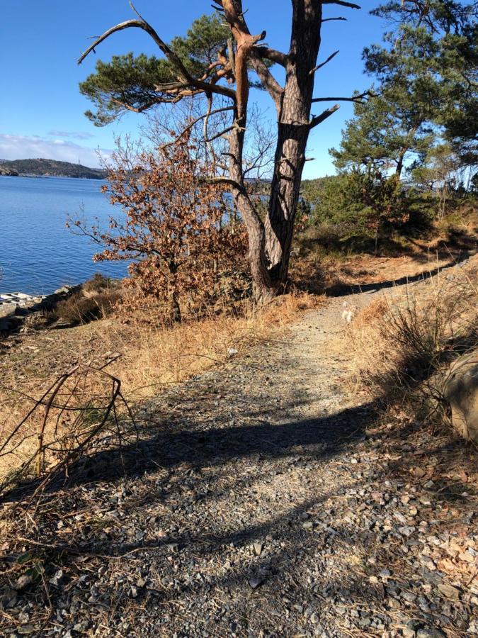Sjonaer Idyll Apartment Kristiansand Exterior photo